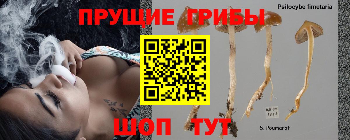 Балашиха  Галлюциногенные грибы мицелий  Псилоцибиновые грибы GOLDEN TEACHER  Вход с VPN 