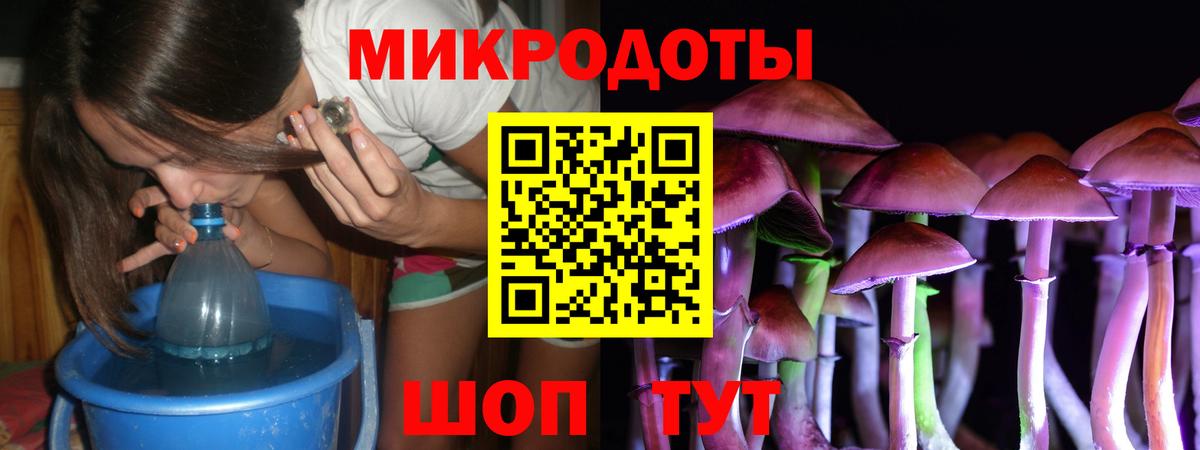 Галлюциногенные грибы Psilocybine cubensis Балашиха